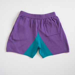 Resort Shorts- Purple/Teal